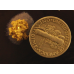 Small Gold Nugget gnm502