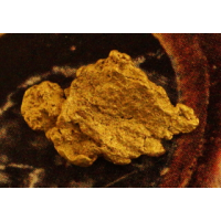 Small Gold Nugget gnm503