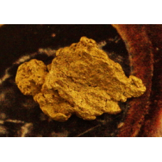 Small Gold Nugget gnm503