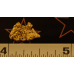 Small Gold Nugget gnm504