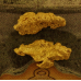 Small Gold Nugget Collection gnm447