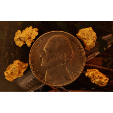 Small Gold Nugget Collection gnmcol240